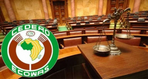 Parliamentarians warning ECOWAS member states towards hasty  adoption of AI