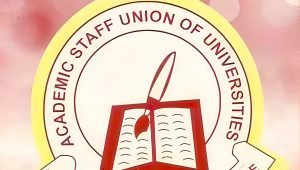 Nigerian govt inaugurates yet one more committee to barter with unions