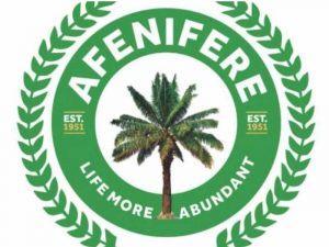 Afenifere requires pressing motion on state police, financial reforms, restructuring