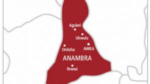 Anambra ballot: We’ll restore safety in Ihiala, YPP assures