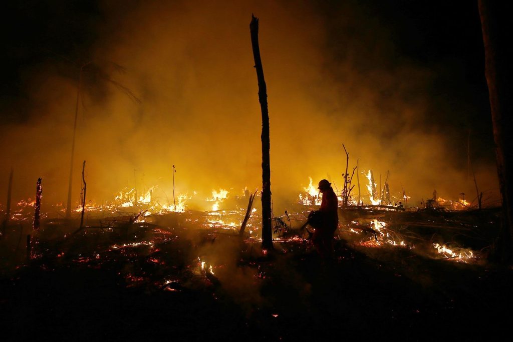 Effectively-preserved Amazon rainforest on Indigenous lands can shield folks from illnesses, research finds