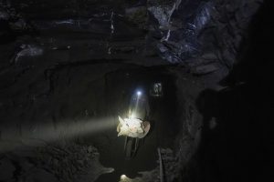 Unlawful gold mining is fueling a 'mercury growth' in Mexico, poisoning folks and the surroundings