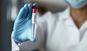 Suspected Ebola case in Abuja exams destructive, says FCT Well being Secretariat
