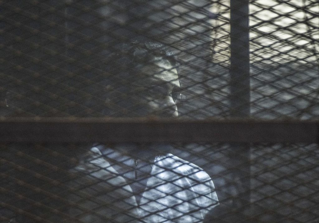 Egyptian activist Alaa Abd el-Fattah pardoned by president's workplace