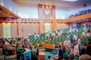 Reps probe alleged mismanagement of Niger Delta oil spill clean-up funds