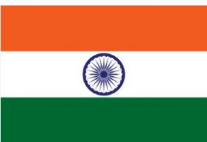 31 useless, 58 injured at India political rally stampede