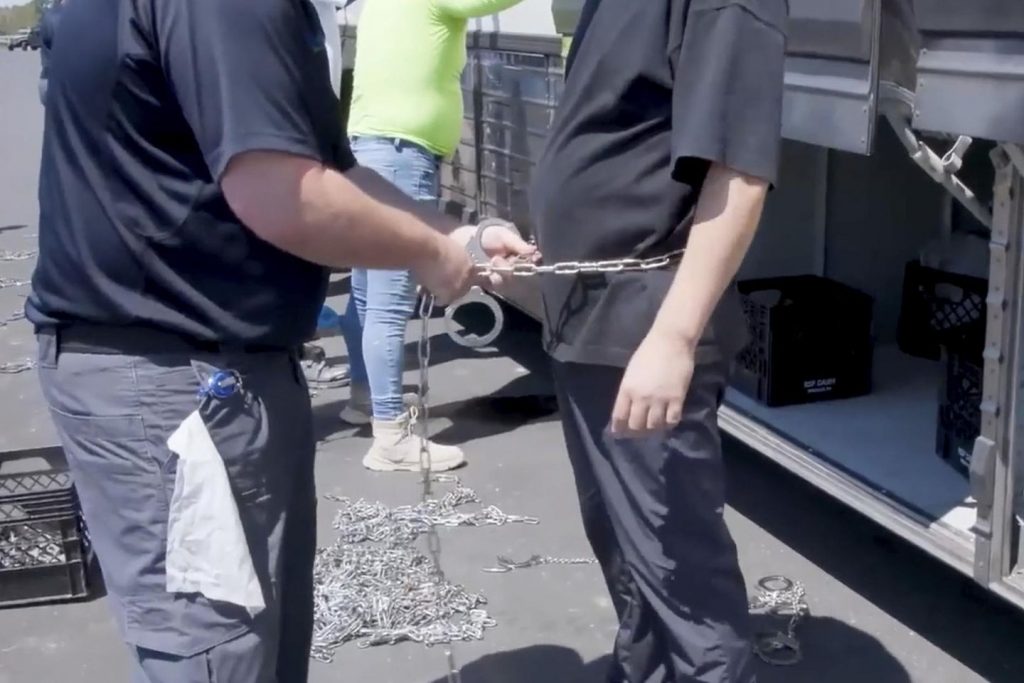 South Koreans really feel betrayed by workforce detentions at Georgia Hyundai plant