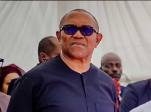 Present commitments might hinder opposition merger talks – Dayo Kayode