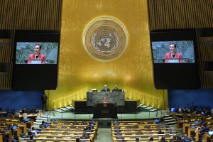 Huge foundations and nonprofits nonetheless flood to the sidelines of a diminished United Nations