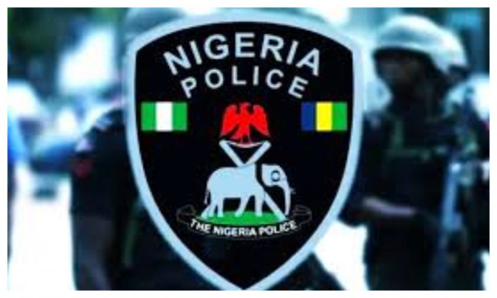 2027: Nigeria Police declare stance on early campaigns by political events, aspirants