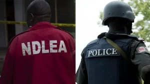 NDLEA busts worldwide drug syndicates, intercepts cocaine, arrests key suspects