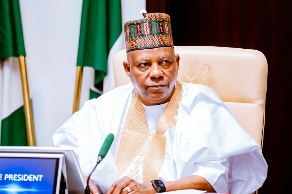 AI, power transition amongst Africa’s ‘alternatives in disguise’ – Shettima