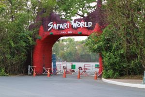 Employee at Bangkok zoo killed by lions and lion named Trump led the assault