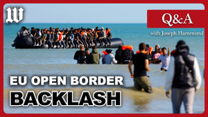 WATCH: Joseph Hammond solutions questions on backlash over European immigration insurance policies WATCH: Joseph Hammond solutions questions on backlash over European immigration insurance policies