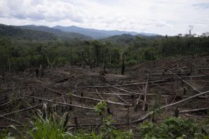 As Amazon's 'flying rivers' weaken with tree loss, scientists warn of worsening droughts