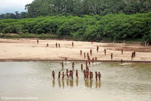 What to find out about uncontacted Indigenous peoples and efforts to guard them What to find out about uncontacted Indigenous peoples and efforts to guard them