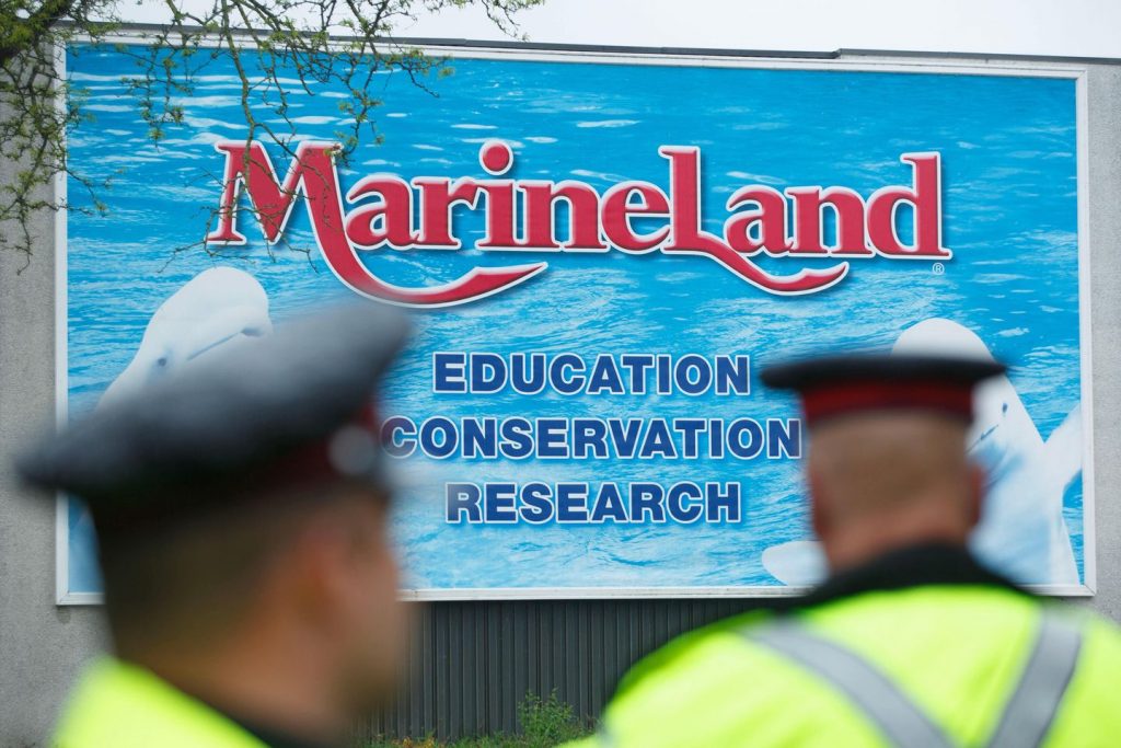 Marineland asks Canadian authorities for emergency money to feed whales — or euthanasia imminent