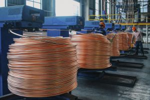 Trump heaps 100% tariff on Chinese language items as payback for Beijing's restrictions on uncommon earths
