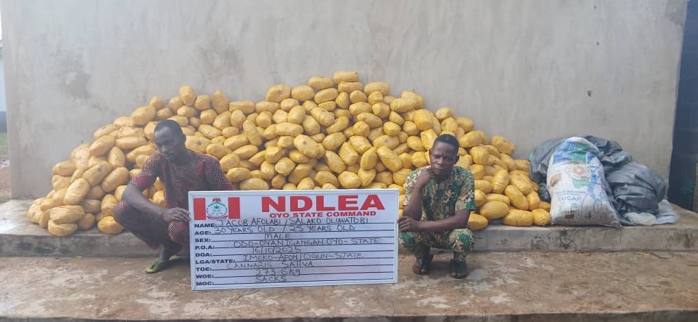 NDLEA intercepts medicine hidden in snails, others meant for UK, US, DRC NDLEA intercepts medicine hidden in snails, others meant for UK, US, DRC