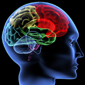 third Vanguard Psychological Well being Summit to unmask twin disaster of habit, suicide
