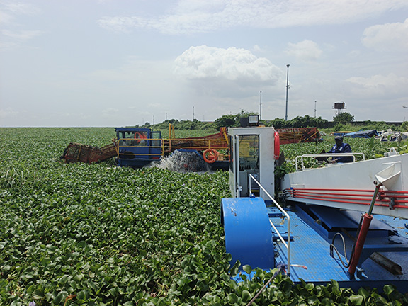 NIWA deploys tools to clear water hyacinth at Ipakodo jetty, Ikorodu NIWA deploys tools to clear water hyacinth at Ipakodo jetty, Ikorodu