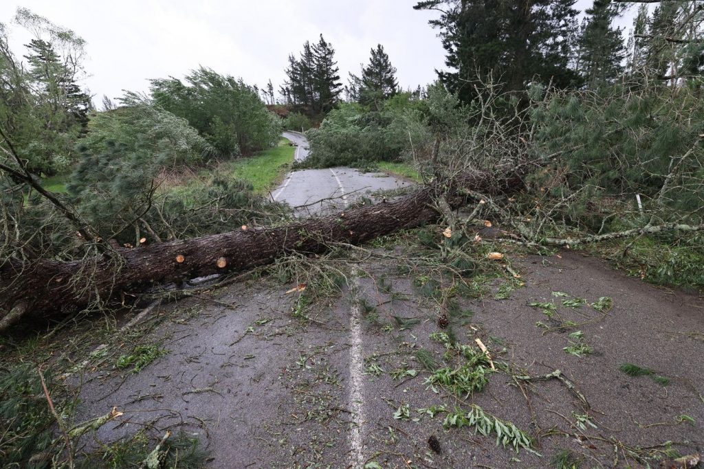 Flights canceled and a 'mega strike' disrupted as harmful winds hit New Zealand Flights canceled and a 'mega strike' disrupted as harmful winds hit New Zealand