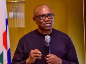2027: Confirm candidates’ certificates earlier than polls – Peter Obi to INEC