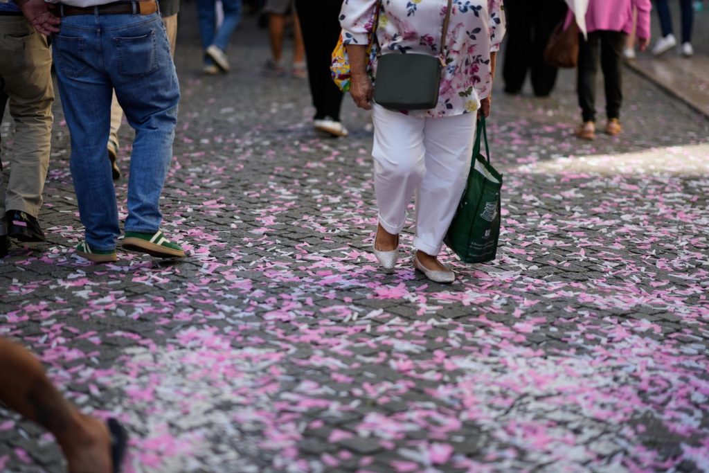 Portugal holds municipal elections with consideration on Lisbon after streetcar crash