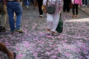 Portugal holds municipal elections with consideration on Lisbon after streetcar crash