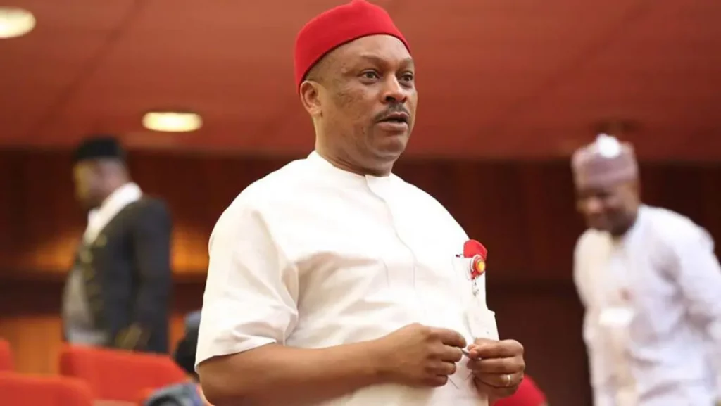 PDP disaster: Cease deceptive public, inflicting division – Anyanwu warns Ologunagba