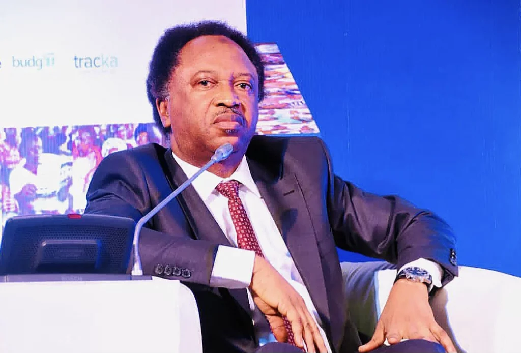 ADC coalition has PDP, APC DNA – Shehu Sani