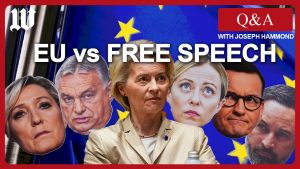 WATCH: Joseph Hammond solutions questions in regards to the battle over disinformation in Europe