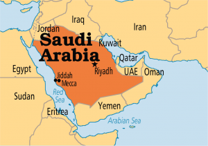 Discussion board for Graduates of Saudi Universities in Nigeria to Start Periods on Sustainable Growth