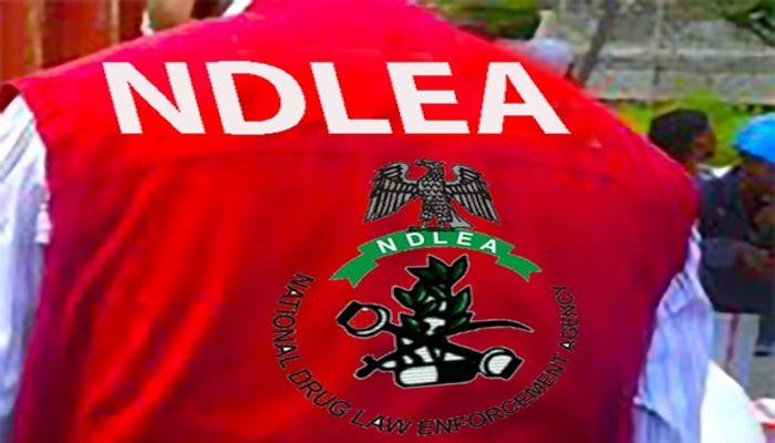 NDLEA busts illicit drug warehouse, recovers over N6.7bn opioids in Lagos NDLEA busts illicit drug warehouse, recovers over N6.7bn opioids in Lagos